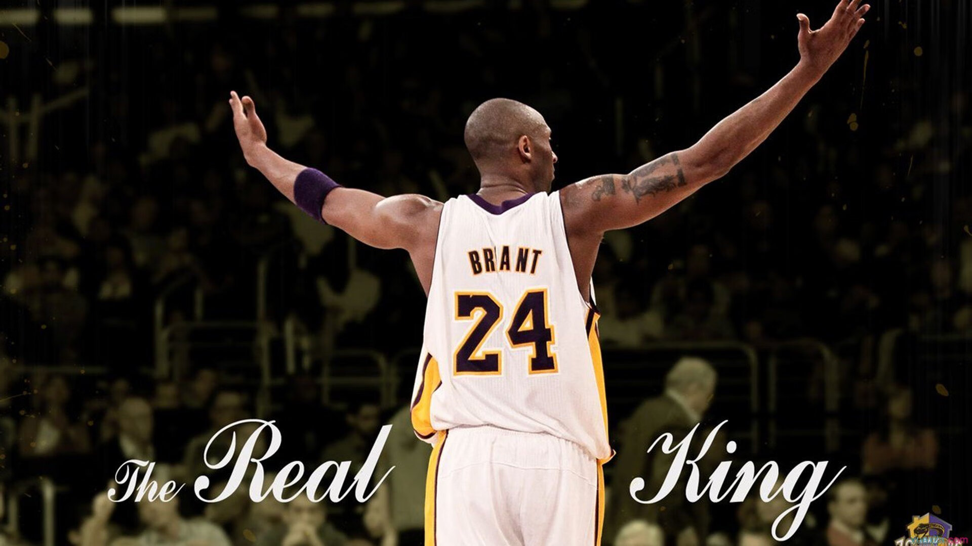 约基奇26+9+9落榜今日最佳！华子37分也无缘，只因字母创里程碑，约基奇个人集锦